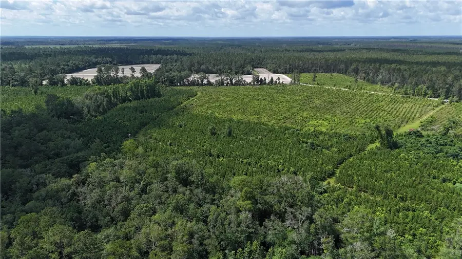 Tract 3 Bennett Mill Pond Road, Odum, GA 31555 - Image #2