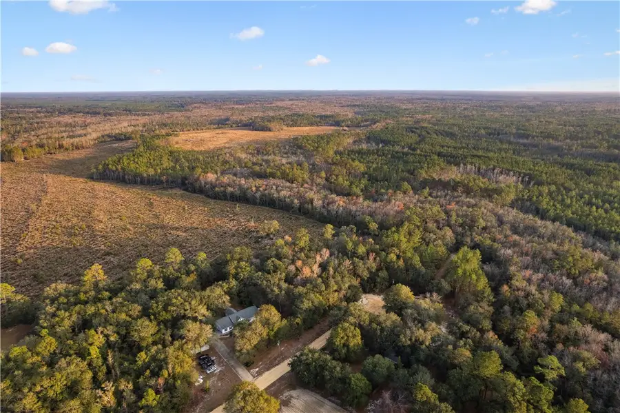 255 Spell Landing Road, Hortense, GA 31543 - #2