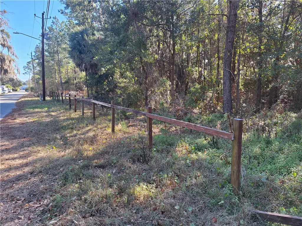 153 & 169 Granville Nix Lane, Brunswick, GA 31525 - Image #1