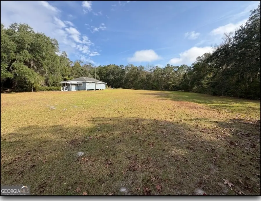 11817 Ga Highway 99 Highway, Darien, GA 31305 - #2
