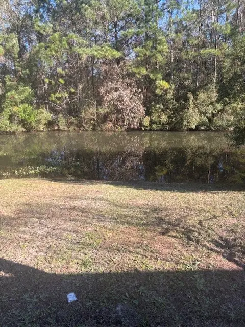 120 Magnolia Ct Court, Kingsland, GA 31548 - Image #3