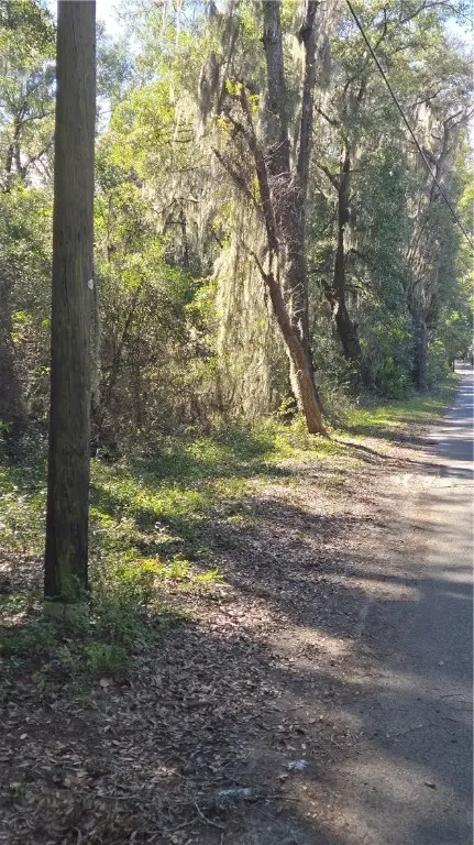 1431 SW Mentionville Road Sw, Darien, GA 31305 - Image #2