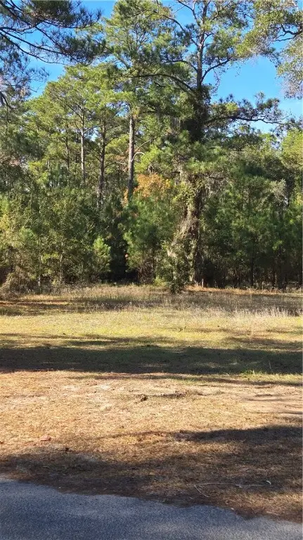 0 Mentionville Road Sw, Darien, GA 31305 - Image #2