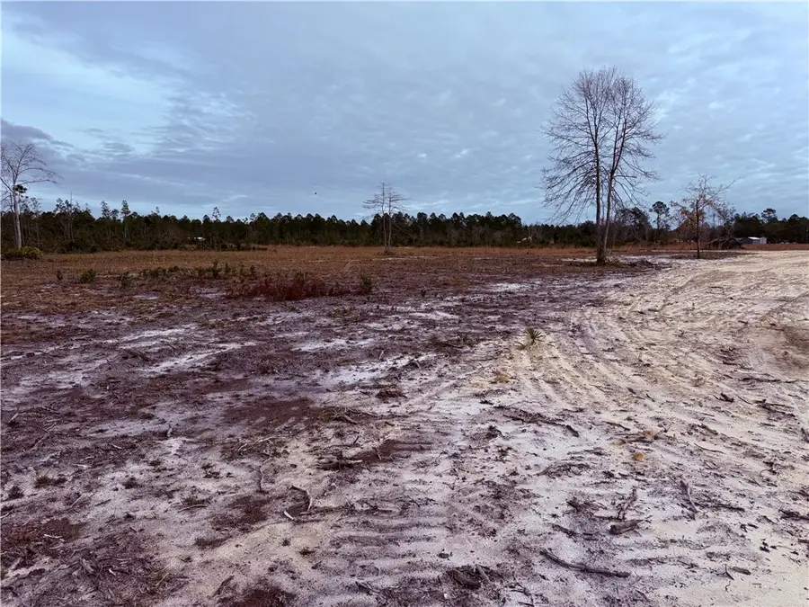 Lot 10 Wiregrass Lane #10, Waycross, GA 31501 - Image #2