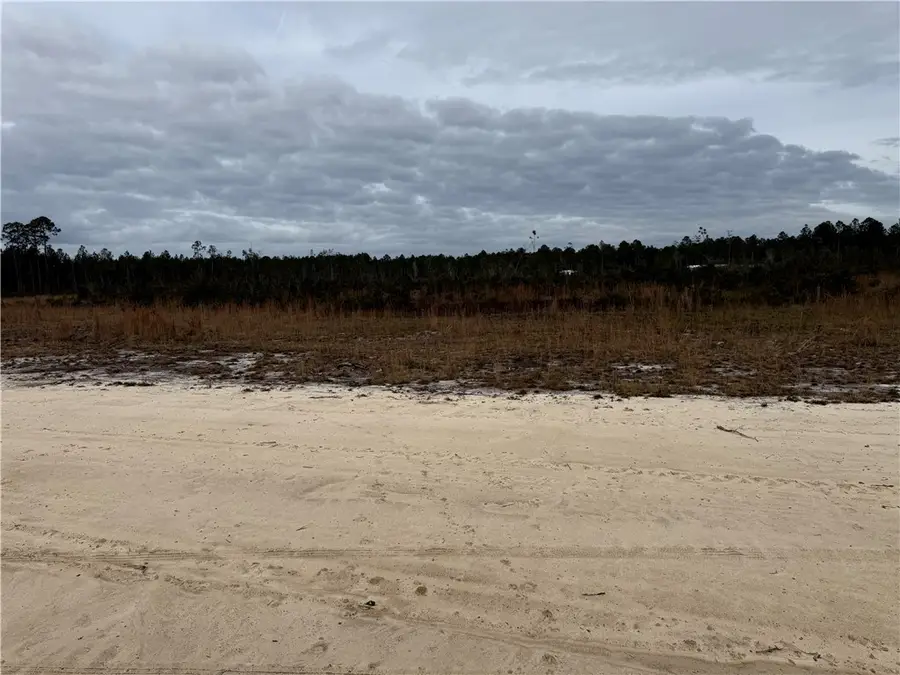 Lot 7 Wiregrass Lane #7, Waycross, GA 31501 - Image #3