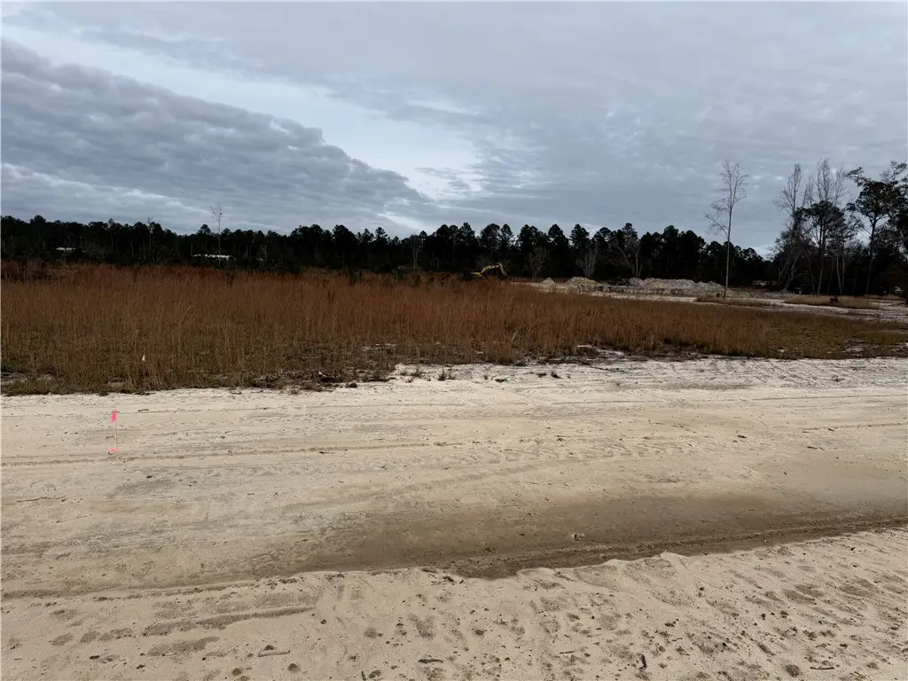 Lot 6 Wiregrass Lane #6, Waycross, GA 31501 - Image #1