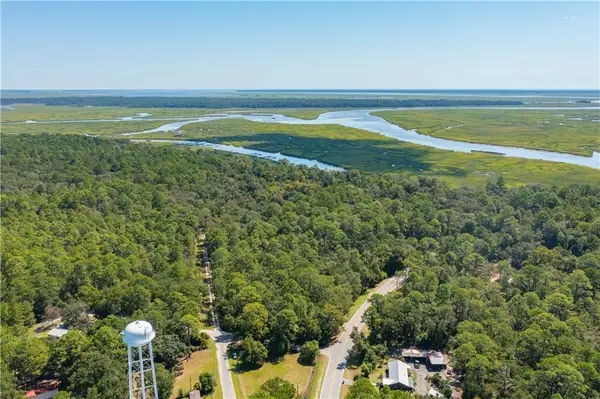 Lot 0 Donnelly-old Trail Road Ne, Townsend, GA 31331