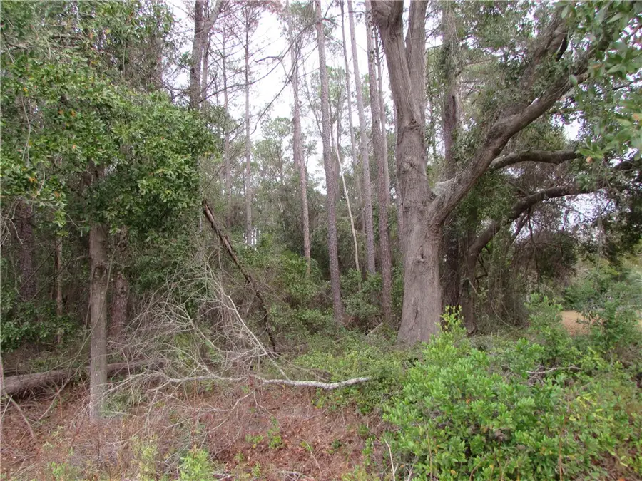 1016 Steve Street, Waycross, GA 31501 - Image #3