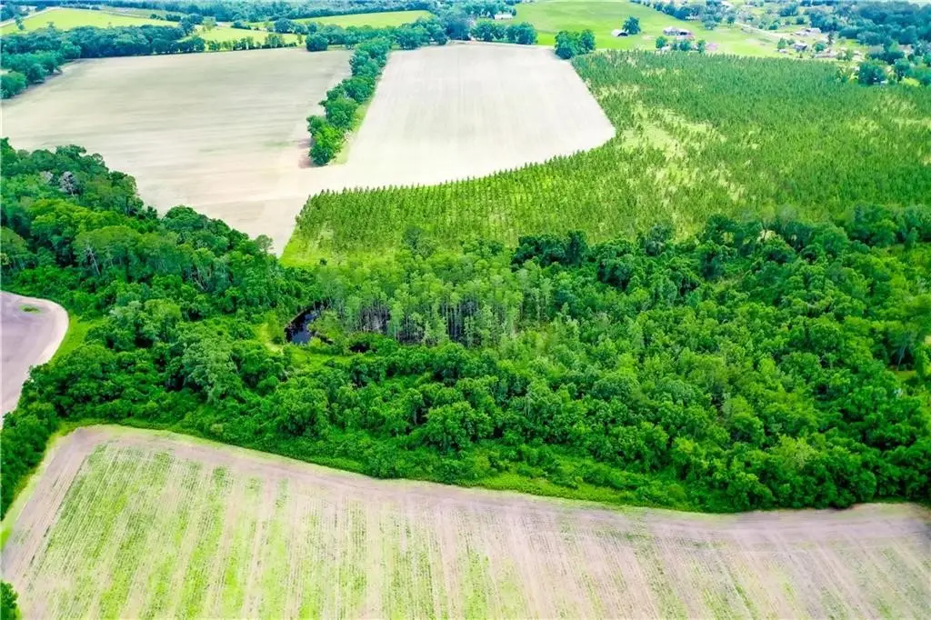 0000 King Road, Blackshear, GA 31516 - Image #1