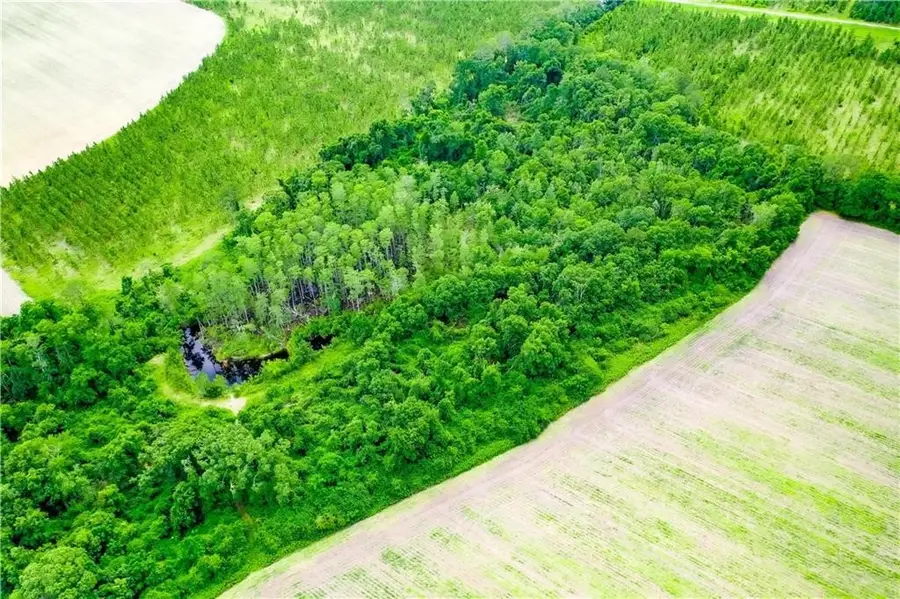 0000 King Road, Blackshear, GA 31516 - Image #3