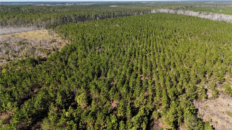 19 AC Owens Road, Odum, GA 31555 - Image #3