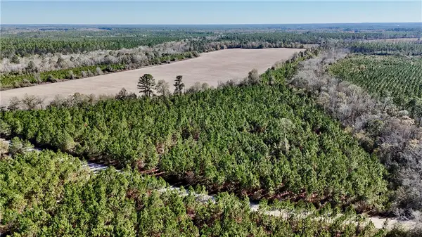 12 AC Owens Road, Odum, GA 31555