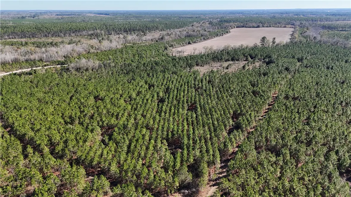 28 AC Owens Road, Odum, GA 31555 - Image #1