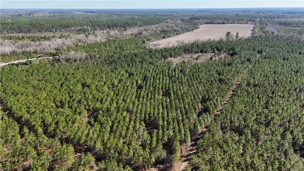 28 AC Owens Road, Odum, GA 31555