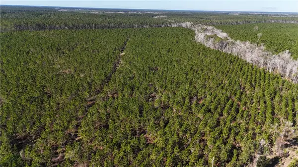 29 AC Owens Road, Odum, GA 31555