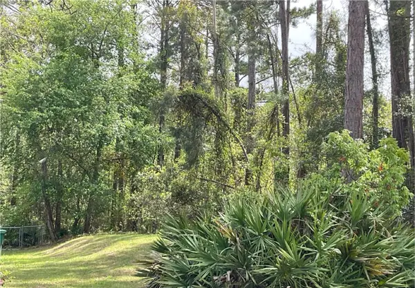2.18 Acres Sailfish Drive, Darien, GA 31305