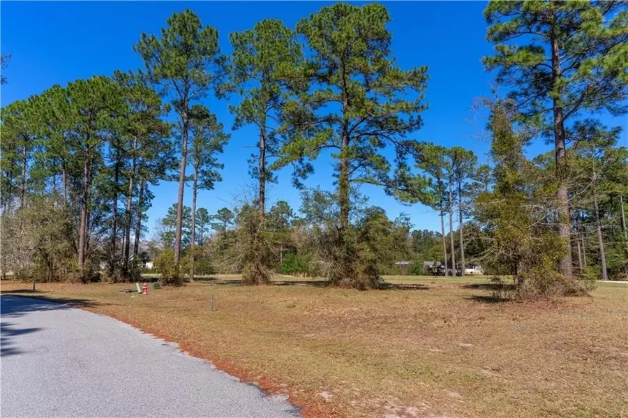 xx Sapelo Park Drive Ne, Townsend, GA 31331 - Image #3