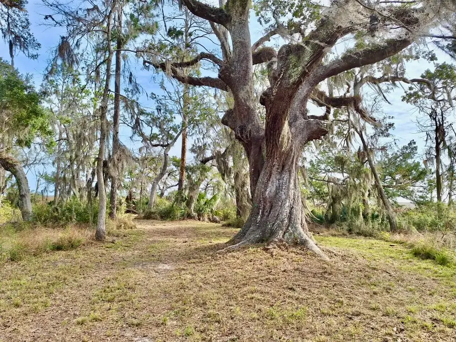 0 Oak Bluff Road Se, Darien, GA 31305 - #2