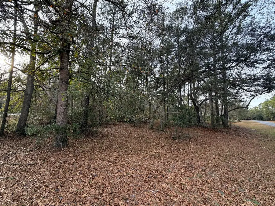 682 Wood Stork Drive Ne, Townsend, GA 31331 - Image #2