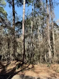 28 Deer Trail Lane, Midway, GA 31320