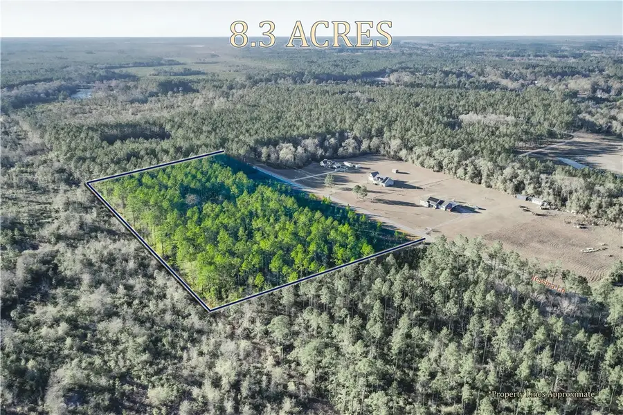 Tract 2 Jessica Lane, Patterson, GA 31557 - Image #3