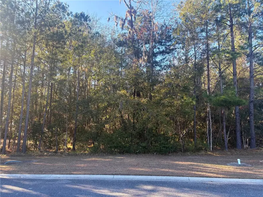0 Sanctuary Harbour Trail, Waverly, GA 31565 - Image #2