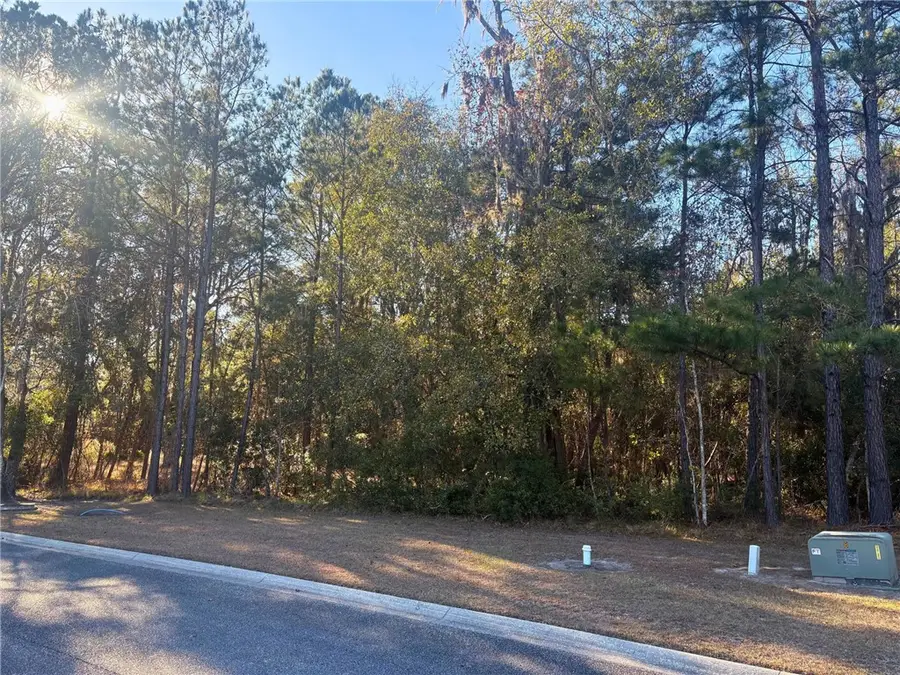 0 Sanctuary Harbour Trail, Waverly, GA 31565 - Image #3