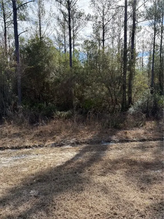 00 (lot 18) Heritage Circle, Hortense, GA 31543