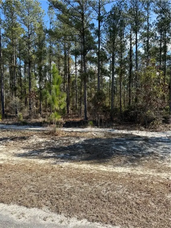 00 (lot 76) Heritage Circle, Hortense, GA 31543
