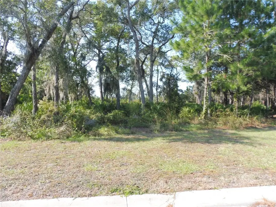 307 Stern Street, Saint Marys, GA 31558 - Image #2