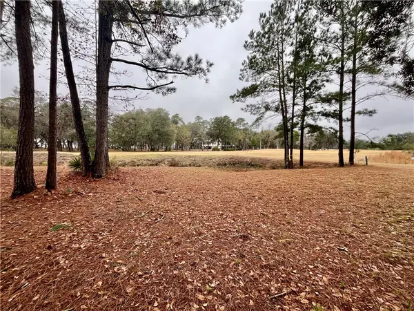 Lot 880 Oak Forrest Drive Ne, Townsend, GA 31331