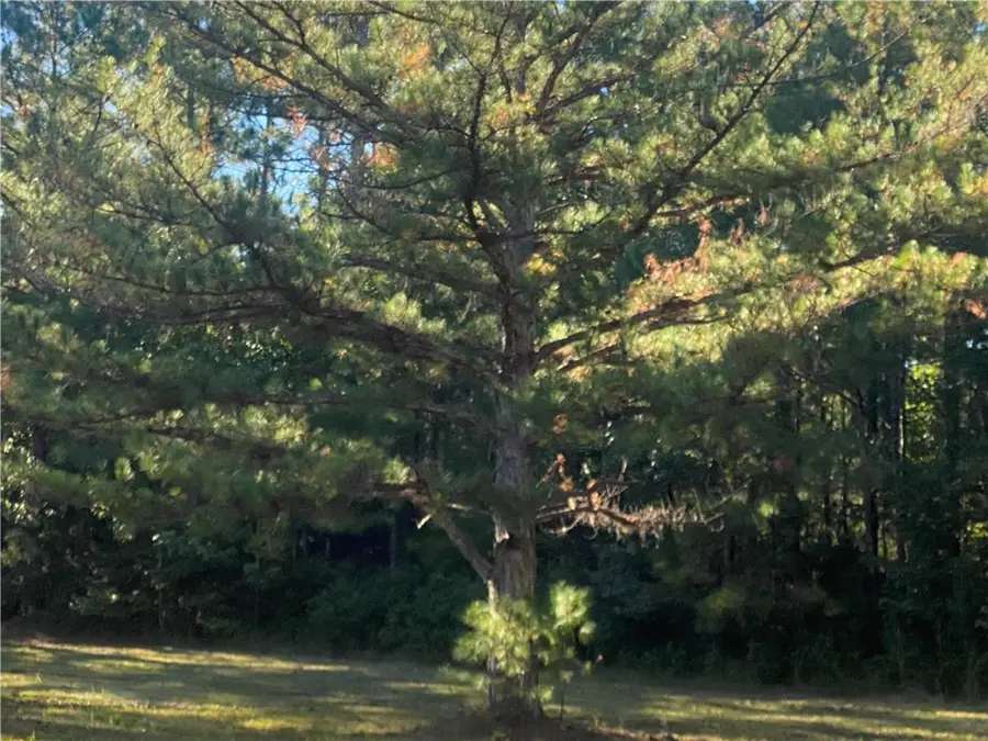 Shellman Bluff (Lot A) NE Shellman Bluff Road, Townsend, GA 31331 - Image #3