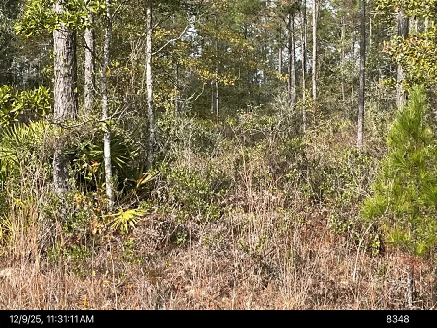 Lot 61 Best Loop, Hortense, GA 31543 - Image #2