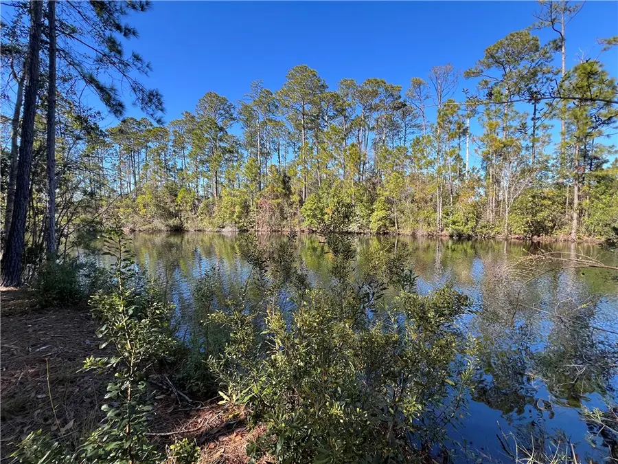 205 Stillwater Drive Drive, Saint Simons Island, GA 31522 - Image #3