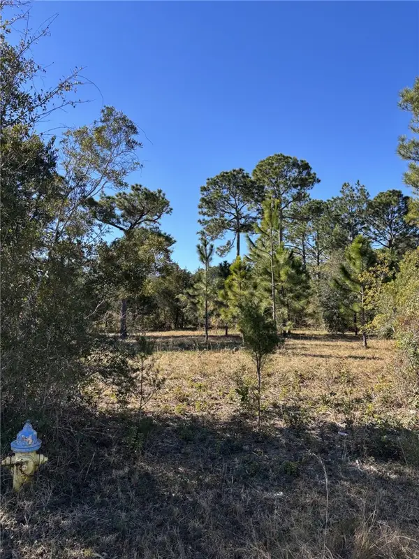 128 Dufour Road, St Marys, GA 31525