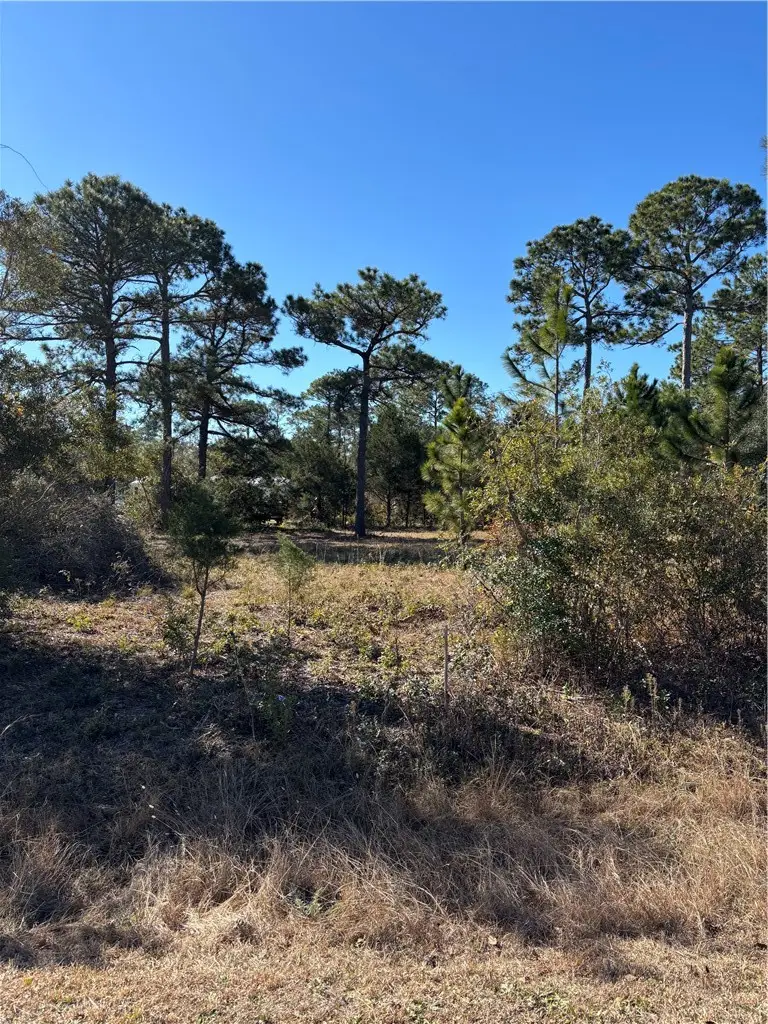 128 Dufour Road, Saint Marys, GA 31525 - Image #3