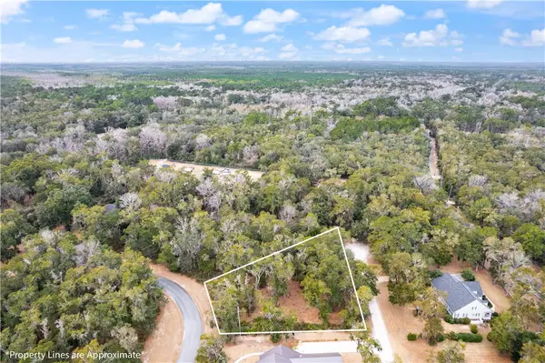 LOT 12 Carnochan Drive, Darien, GA 31305