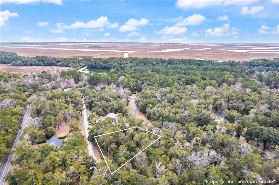 LOT 12 Carnochan Drive, Darien, GA 31305 - #3