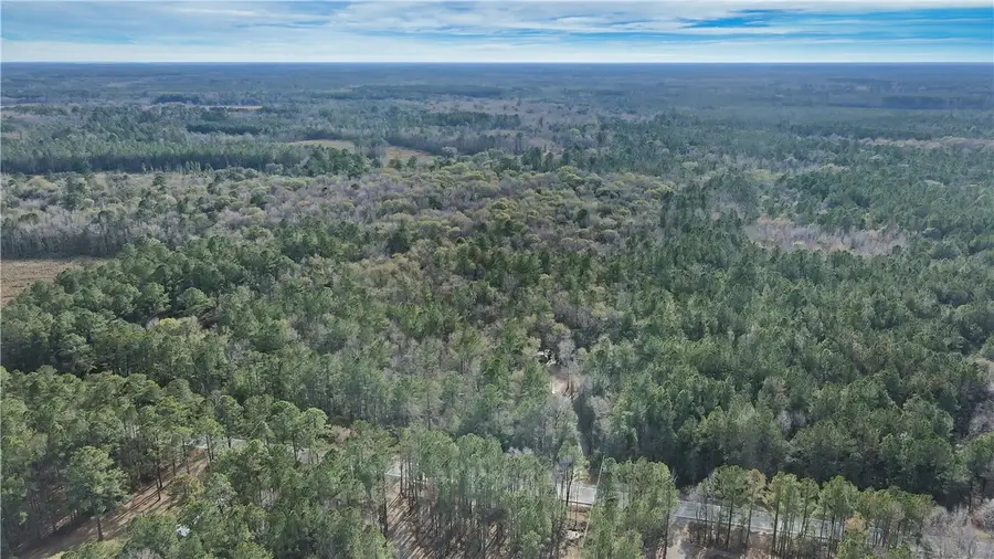 2884 Ga Hwy. 251, Townsend, GA 31331 - #3