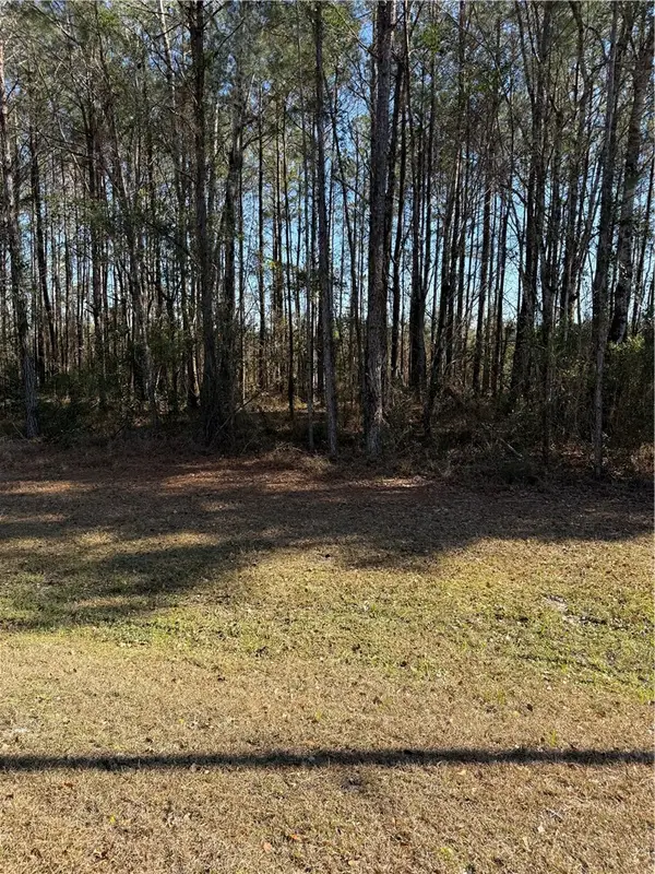 00 Settlers Bluff Road, Folkston, GA 31537