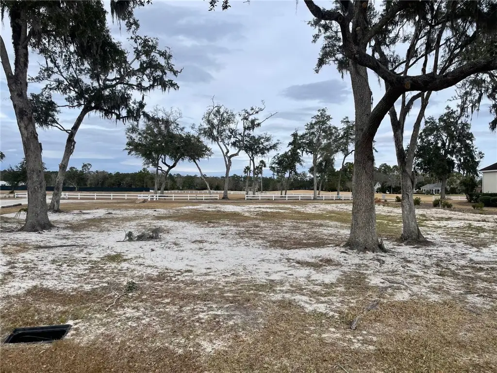 374 Oak Grove Island Drive, Brunswick, GA 31523 - #1