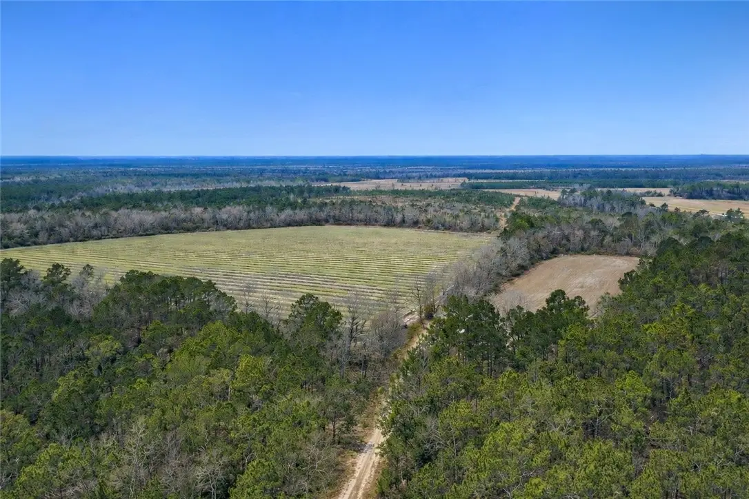 Tract 3 Reddish Road, Odum, GA 31555 - #1