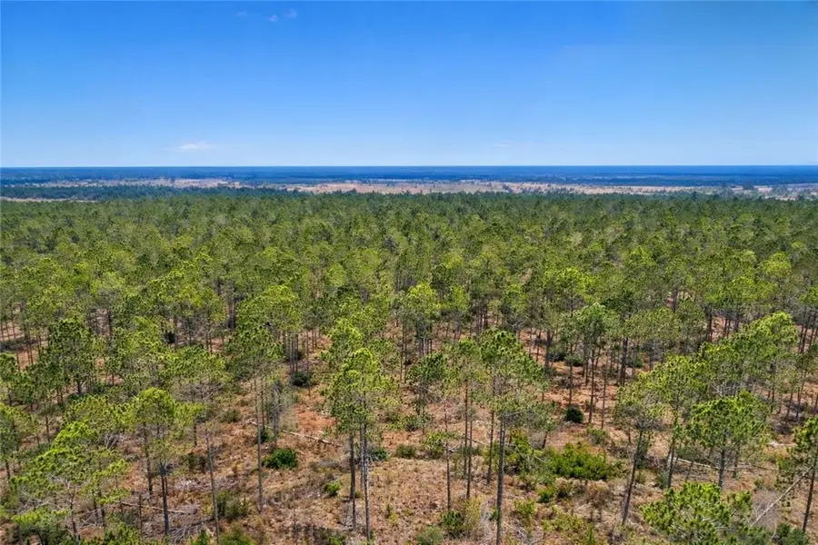 Tract 3 Reddish Road, Odum, GA 31555 - #3