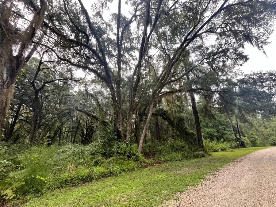 Lot 14 Carnochan Drive, Darien, GA 31305 - #3