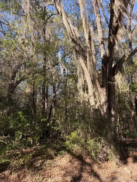 0 Trade Hill Road, Midway, GA 31320 - Image #2