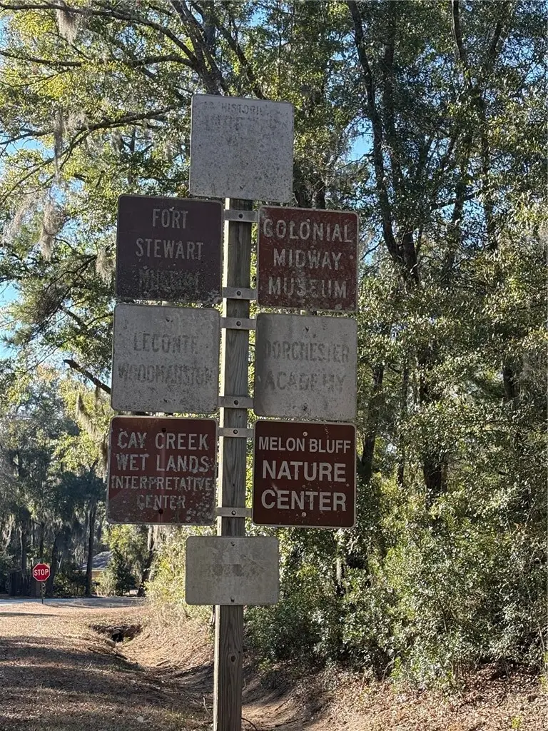 0 Trade Hill Road, Midway, GA 31320 - Image #3