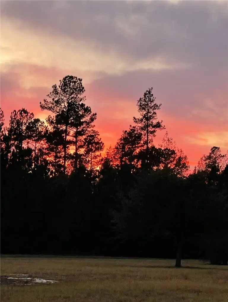 154 Salt Creek Way W, Brunswick, GA 31523 - #3