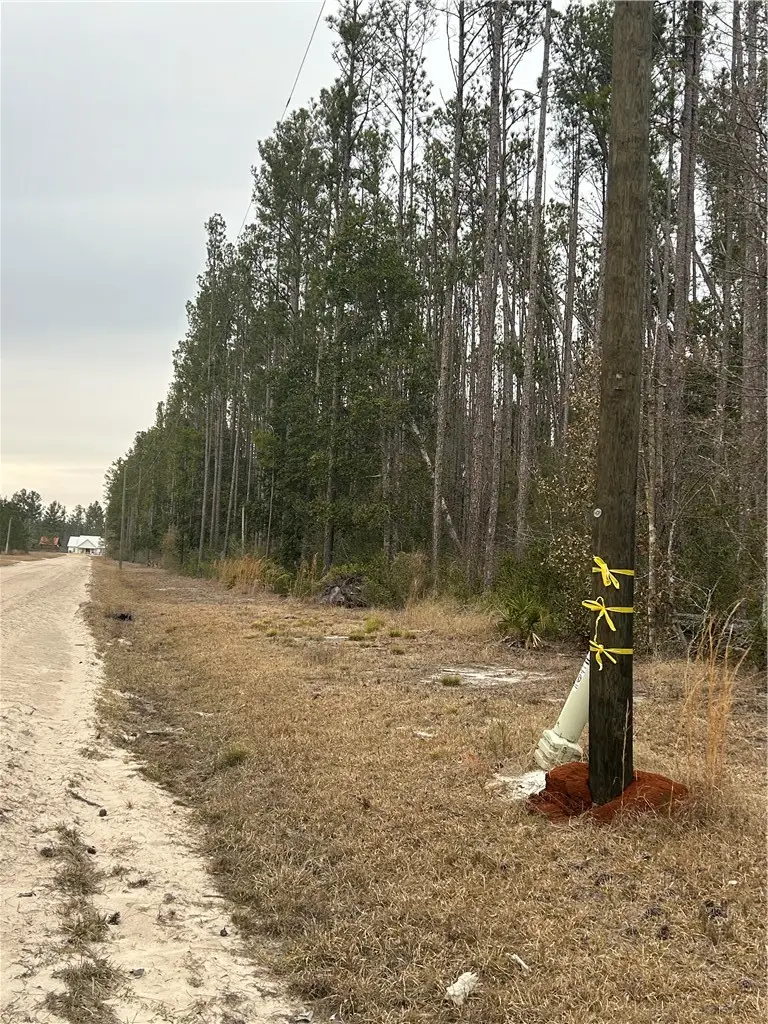 00 Farms Edge Road, Manor, GA 31552 - #3