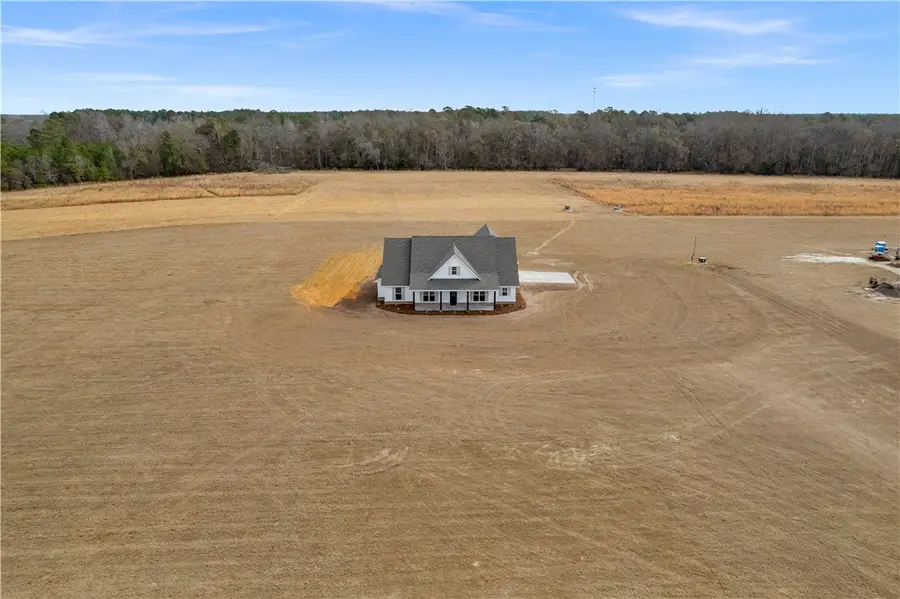 3514 Hwy 121 Highway, Blackshear, GA 31516 - Image #2