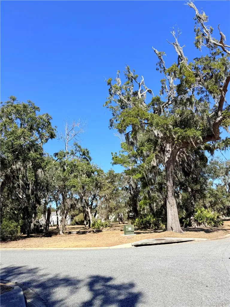 0 Maiden Creek Drive, Waverly, GA 31565 - #1